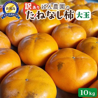 ふるさと納税 佐渡市 【2026年10月以降発送分】訳あり　佐渡島産大玉たねなし柿　10kg(箱の重さ込み)　