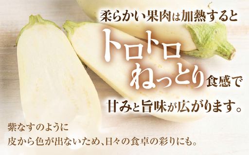 《先行予約》とろ～り旨なす 2kg 茄子 なす 白茄子 白なす 白ナス ナス 旨い 甘い 艶 ツヤ ハリ 揚げ物 揚げ茄子 焼茄子 麻婆茄子 輝楽 愛知県 豊橋市