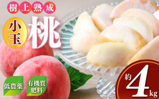 桃（小玉）約4kg箱（13～15個）| フルーツ 果物 くだもの もも モモ ピーチ 奈良県 五條市 果実 果汁