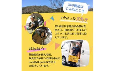 ＜３６９商店＞京都丹波産旬の野菜セットデラックス！平飼い卵10個、季節の果物又は加工品　※栽培期間中農薬・化学肥料不使用※ 野菜 卵 ※北海道・沖縄・離島への配送不可