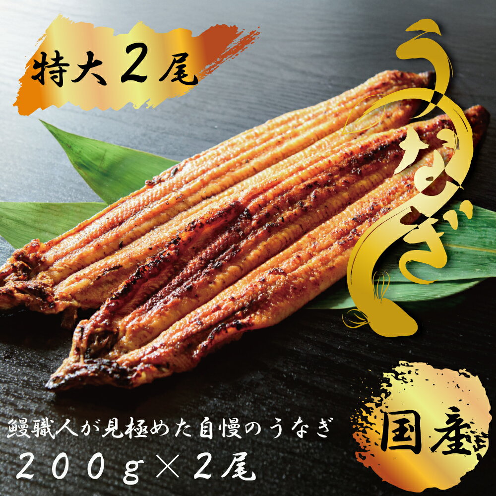 【ふるさと納税】九州産　鰻職人が見極めた自慢のうなぎ　蒲焼　国産　有頭鰻 1尾あたり約200g×2尾（合計約400g以上）たれ・山椒セット(FK014)