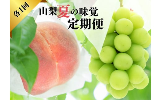 ＜25年発送先行予約＞『山梨夏の味覚定期便』笛吹市産旬の桃とシャインマスカット各１回 167-014