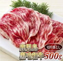 【ふるさと納税】切り落とし500g　鹿児島黒毛和牛(尾崎牧場産)A4〜A5クラス/冷凍発送