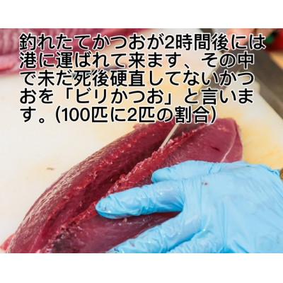 ふるさと納税 南国市 もちもち食感!釣れたてビリかつお刺身300g×2節(刺身油・ニンニク10g付き) |  | 01