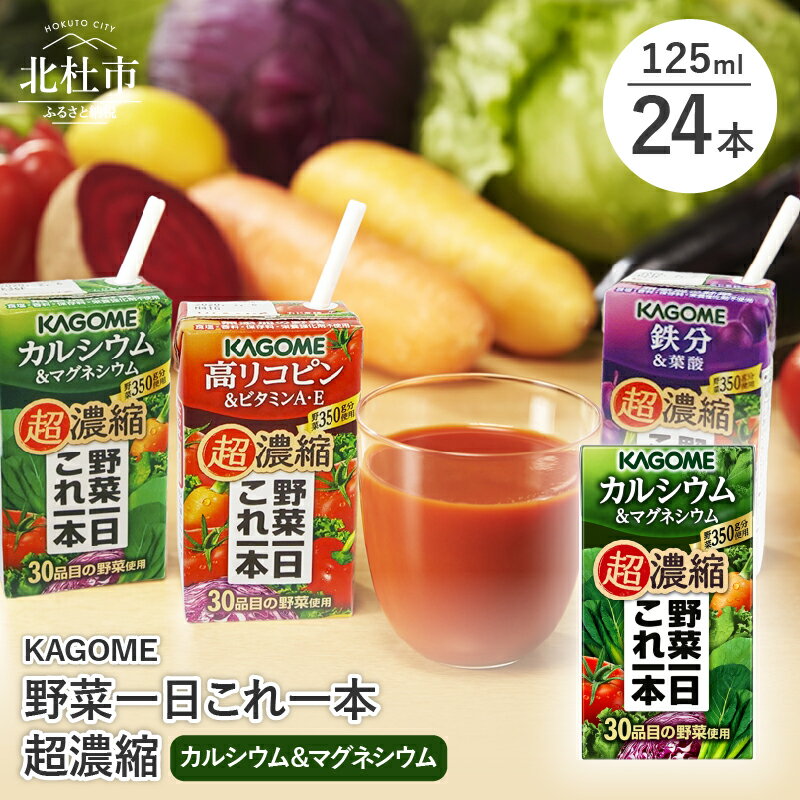 【ふるさと納税】 ＼レビューキャンペーン実施中／ カゴメ 野菜一日これ一本 超濃縮 カルシウム＆マグネシウム 125ml 紙パック 24本入 野菜ジュース 濃縮ジュース 名水仕込 無添加 これ1本 野菜不足 350g 30品目 健康志向 飲料 健康食品 防災