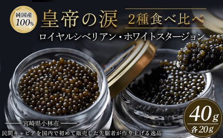 皇帝の涙2種食べ比べ（ロイヤルシベリアン・ホワイトスタージョン）国産チョウザメキャビア