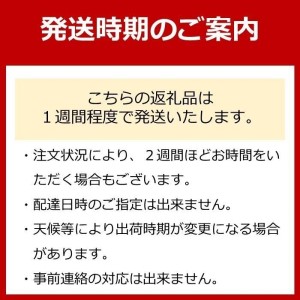 フライパン 南部鉄器 オムレット24 IH対応 キッチン用品 キッチン 日用品 調理器具 鉄分 鉄 オムレツ