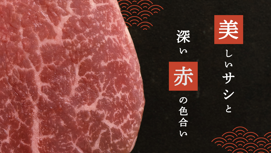 《 定期便 》 上州牛 ヒレステーキ 100g × 5枚 3ヶ月 連続お届け 牛肉 ヒレ ヒレ肉 小分け 日本 国産 国産牛 群馬 500g 冷凍 真空パック ステーキ用 お肉 肉 焼肉 焼き肉 バー