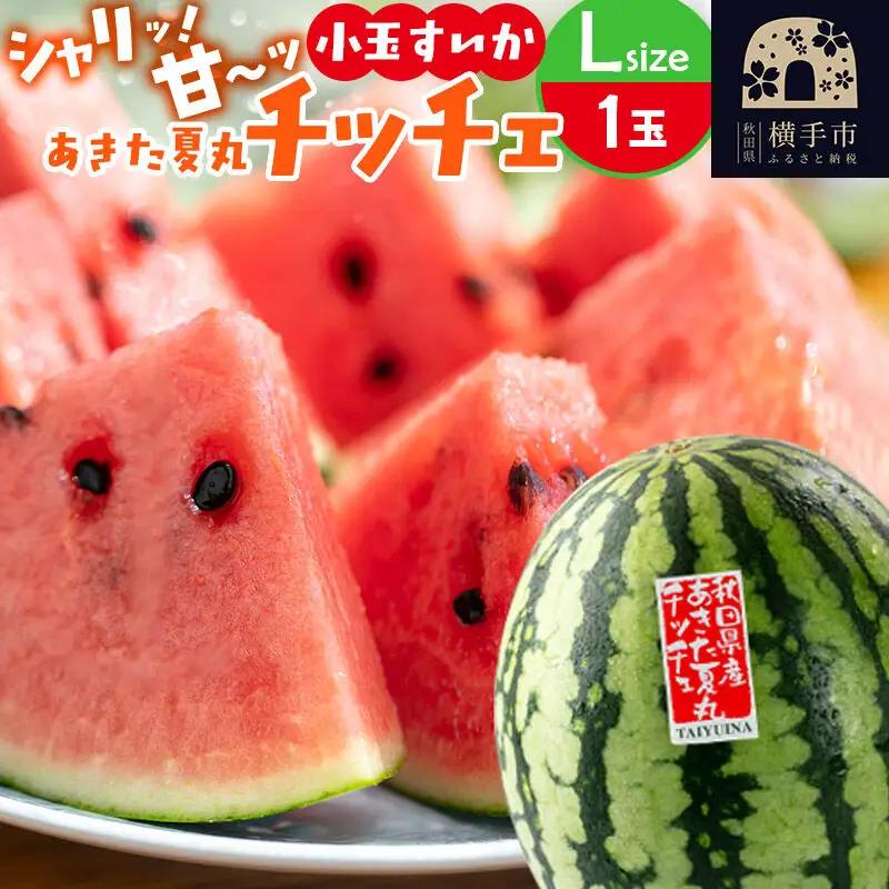 【先行受付】7月上旬より発送 小玉すいか『あきた夏丸チッチェ』秋田県産 約2.1kg～2.7kg×1玉