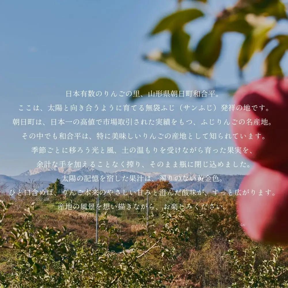 RINGO IE Apple Juice 500ml 2本 セット ( リンゴイエ りんご ジュース 山形県産 果汁 100% 無添加 ストレート 500ml ふじ ・ シナノゴールド 果汁 フルーツ
