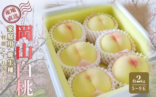 岡山の桃 晩生種 約2kg（5～9玉）ご家庭用（黄金桃の場合もあります）