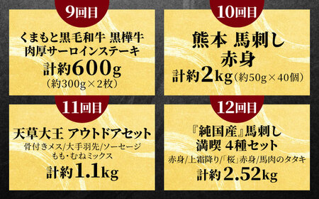 【全12回定期便】合志市肉の極み定期便[AYZZ012]