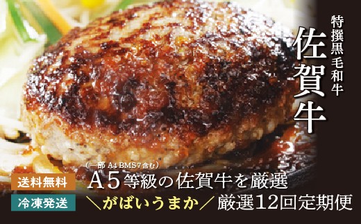 肉の定期便　佐賀牛を毎月月替りで１２回お届け（画像はイメージです）