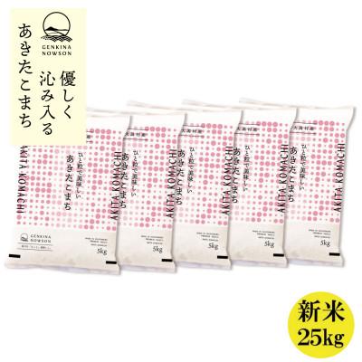 ふるさと納税 大潟村 秋田県産 予約受付開始!あきたこまち【令和7年産】無洗米25kg(5kg×5)《10月中旬より発送》