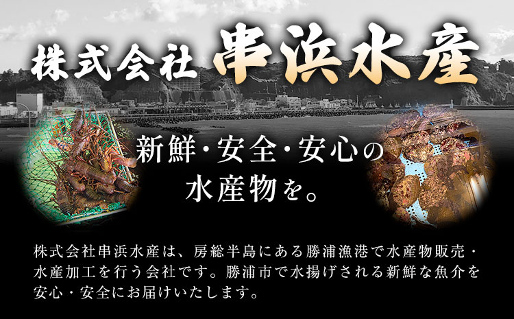【刺身OK】千葉県勝浦産 生冷活〆 天然伊勢海老 3kg 6-11尾入 株式会社串浜水産《90日以内に出荷予定(土日祝除く)》千葉県 勝浦市 伊勢海老 海老 えび【配送不可地域あり】（離島）【1506