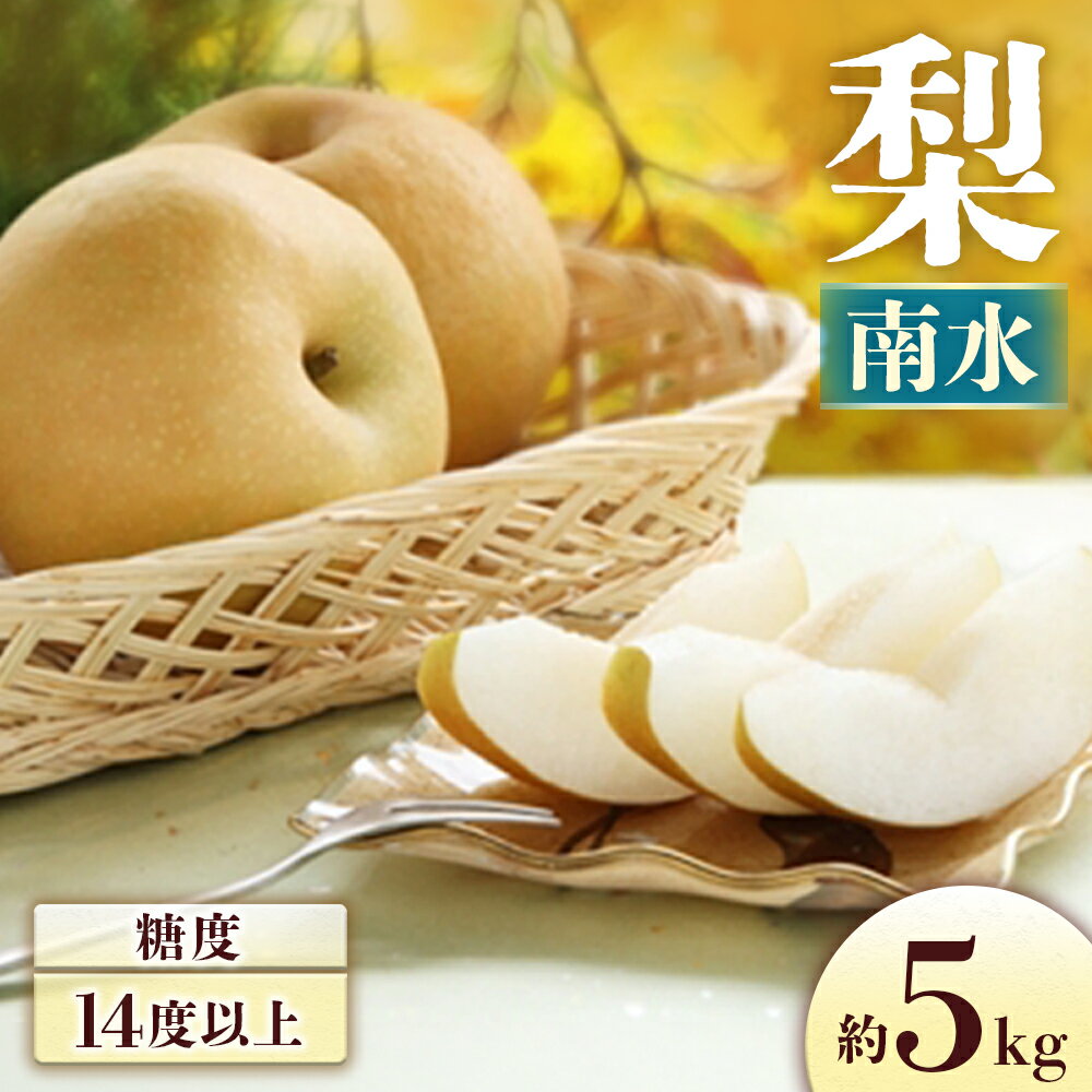 ＜先行予約＞梨 南水[8〜16玉]約5kg※2025年発送　先行予約分※