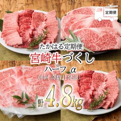 『定期便』宮崎牛たかはる定期便ハーフα(6回 奇数月発送) 国産 黒毛和牛  ブランド牛 牛肉 お肉 TF0309-P00020
