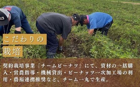 会津産手むき素焼きうまピー×10袋　【07208-0771】