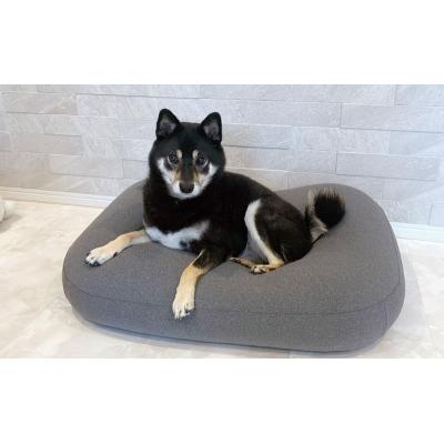 ふるさと納税 加西市 雲にのるペットソファ　スクエア　Sサイズ　本体(カバー付き)ブラウン[No5698-7936] |  | 03