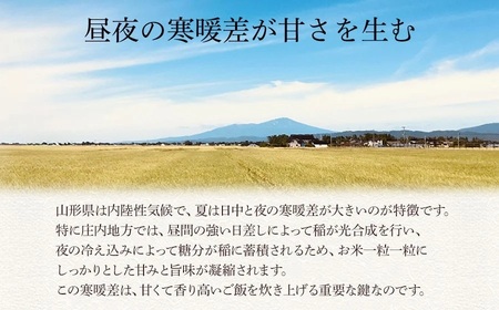 令和7年産【新米】　雪若丸 精米 5kg×1袋　庄内観光物産館