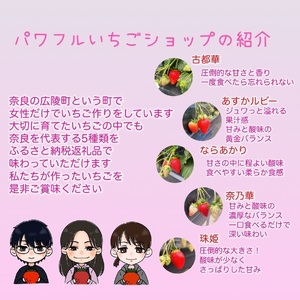 いちご好きのためのいちご 奈良県ブランドいちご 「古都華（ことか）」2026年4月発送 / いちごいちごいちごいちごいちごいちごいちごいちごいちごいちごいちごいちごいちごいちごいちごいちごいちごいちご
