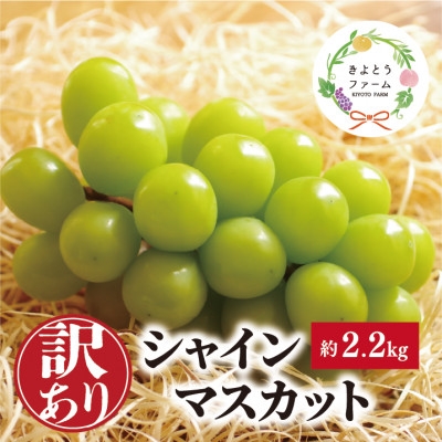 
                  ＜訳あり＞シャインマスカット ご家庭用/約2.2kg (岡山県産) 食べ応え満足便!_シャインマスカット ぶどう 葡萄 ブドウ マスカット 果物 くだもの フルーツ 訳あり 甘い 岡山県 津山市 産直 産地直送 家庭用 自宅用 送料無料【1602735】
                