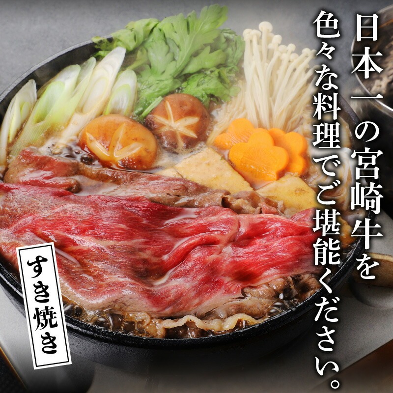 宮崎牛 モモスライス 500g N0140-YA2252