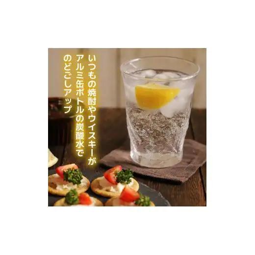 炭酸水 定期便 毎月 12回 500ml×24本 ソーダ