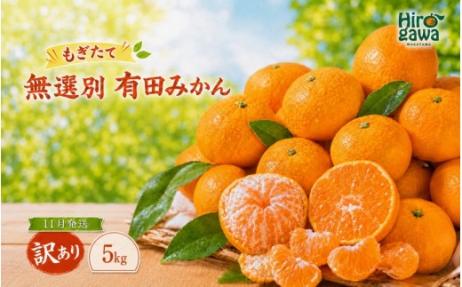
                  もぎたて 無選別 有田 みかん 5kg 訳あり 11月 配送 / ミカン 蜜柑 柑橘 温州みかん 和歌山 有田 ※2026年11月上旬～11月下旬に順次発送 【oda004-c-5-11】
                