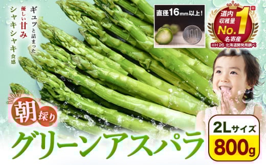 【先行予約】朝採りアスパラガス 2Lサイズ(800g) 《2026年5月中旬-5月下旬頃出荷予定》北海道 名寄市 送料無料 朝採り 新鮮 アスパラ---nayoro_loc_7_800g---st-p