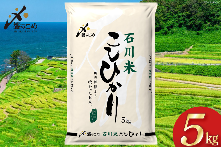 【期間限定発送】 米 令和7年 石川県産 石川米こしひかり【穂立】5kg [中橋商事 饗のこめ (あえのこめ) 石川県 宝達志水町 38601197] コシヒカリ お米 コメ 白米 精米