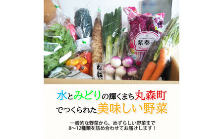 季節のおすすめ野菜おまかせ詰め合わせ6ヵ月定期便 8種～12種類【16104】