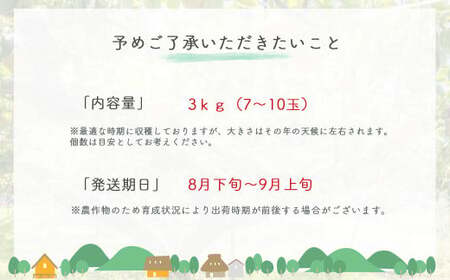 新甘泉と二十世紀梨の食べ比べセット【鳥取県産】３ｋｇ（生橋農園） 鳥取 梨 3kg 果物 フルーツ 和梨 先行予約 数量限定 詰め合わせ 新甘泉 二十世紀梨 20世紀梨
