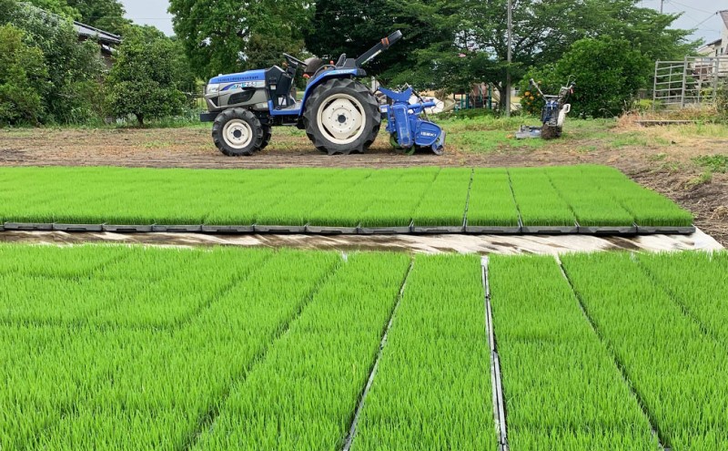 100年続く田中農園のうまい米 夢つくし 「田中茂米」 精米 5kg 米 お米