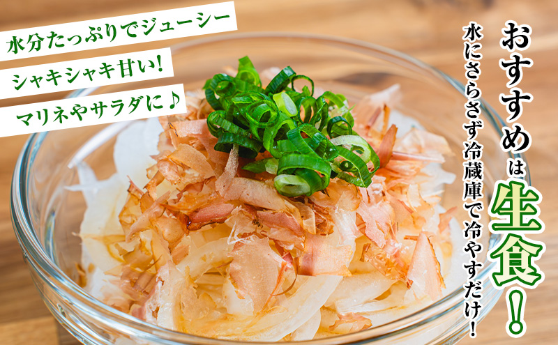 【2026年夏発送】富良野産 白玉ねぎ 雪景色 約5kg （約15～25玉）新玉ねぎ 野菜 甘い 新鮮 直送 玉ねぎ 玉葱 サラダ 北海道 富良野 幕田農園
