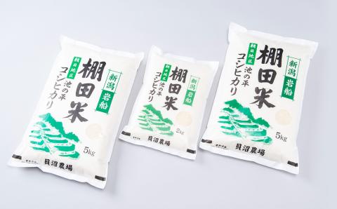 【新米受付・令和7年産米】NB4107 新潟県村上市岩船産船産　棚田米コシヒカリ12kg