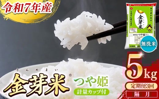 【定期便】BG無洗米・金芽米つや姫 5kg×3回 （隔月）計量カップ付き【令和7年産 2ヶ月に1回 6ヶ月 計15kg 東洋ライス 健康 島根県 安来市】