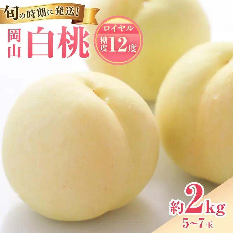 白桃 特秀ロイヤル 大玉 岡山県産 白桃【約2kg 5～7玉】【先行予約】