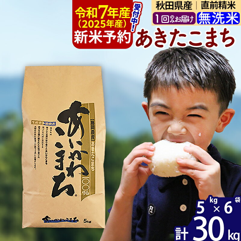 【ふるさと納税】※令和7年産 新米予約※秋田県産 あきたこまち 30kg【無洗米】(5kg小分け袋) 【1回のみお届け】2025産 お米 藤岡農産