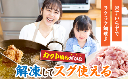 宮崎県産 若鶏 もも肉 カット 計5.1kg(340g×15パック)_DA57-25