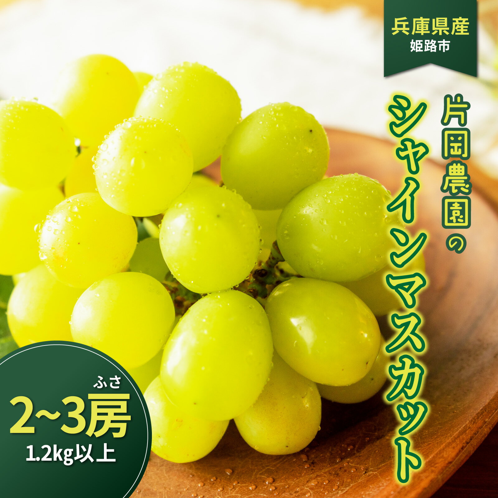 【ふるさと納税】【先行予約】 兵庫県産 シャインマスカット 2房～3房 1.2kg以上 片岡農園 【 2026年9月中旬より順次発送 】 【 マスカット シャインマスカット 朝採り 農園直送 みずみずしい 甘い フルーツ 果物 スイーツ すっきり 】