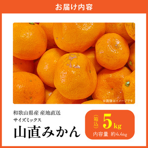 MK1038_【2026年先行予約】みかん 山から直送 箱込 5kg ( 内容量 4.4kg ) 鮮度優先ごろごろ規格 和歌山県産 産地直送 家庭用 【みかんの会】