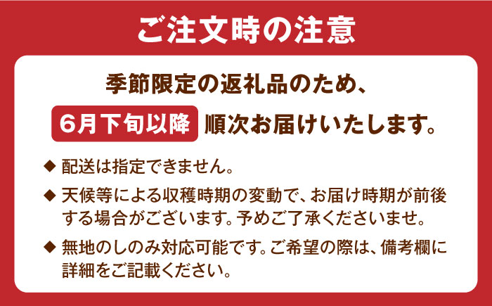 【先行予約】栄養満点 五島産完熟マンゴー (2玉入)五島市/HPIファーム [PCP002]