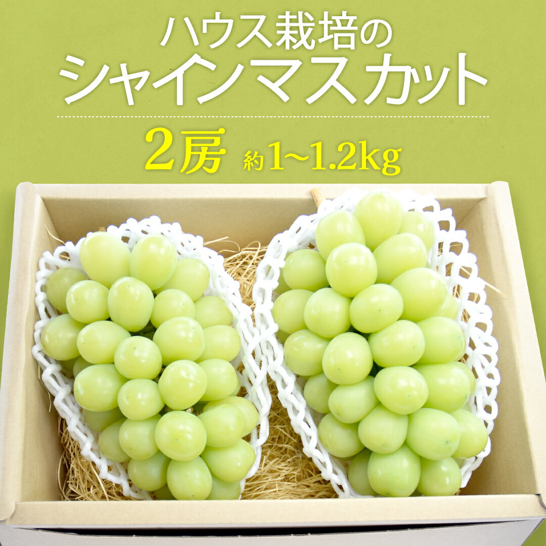 【ふるさと納税】ハウス栽培 の シャインマスカット 2房 ( 約1kg〜1.2kg ) 令和7年産 先行予約 ぶどう ブドウ 葡萄 フルーツ