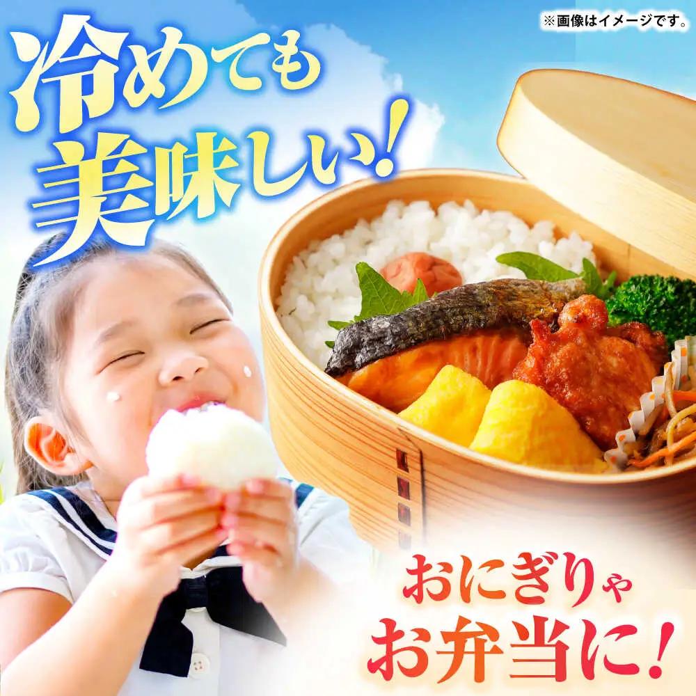 壱岐産米 にこまる 10kg[JBO144]米 お米