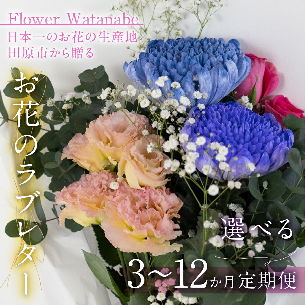 【ふるさと納税】 お花屋さんのタハナBOX 定期便 3回 6回 12回 選べる 定期便 定期 フラワーアレンジメント 花 お花 花束 定期便 お花の定期便 ブーケ 季節 ギフト お祝い 誕生日 記念日 ギフト プレゼント インテリア お洒落 マム カラーマム 愛知県 田原市 30000円 3万円