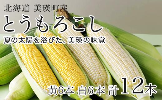 
            【先行予約】とうもろこし （白・黄）各6本セット スイートコーン<令和8年産 >美瑛選果  |  コーン とうきび 野菜 ベジタブル 産地直送 送料無料 北海道 道産[015-129]
          