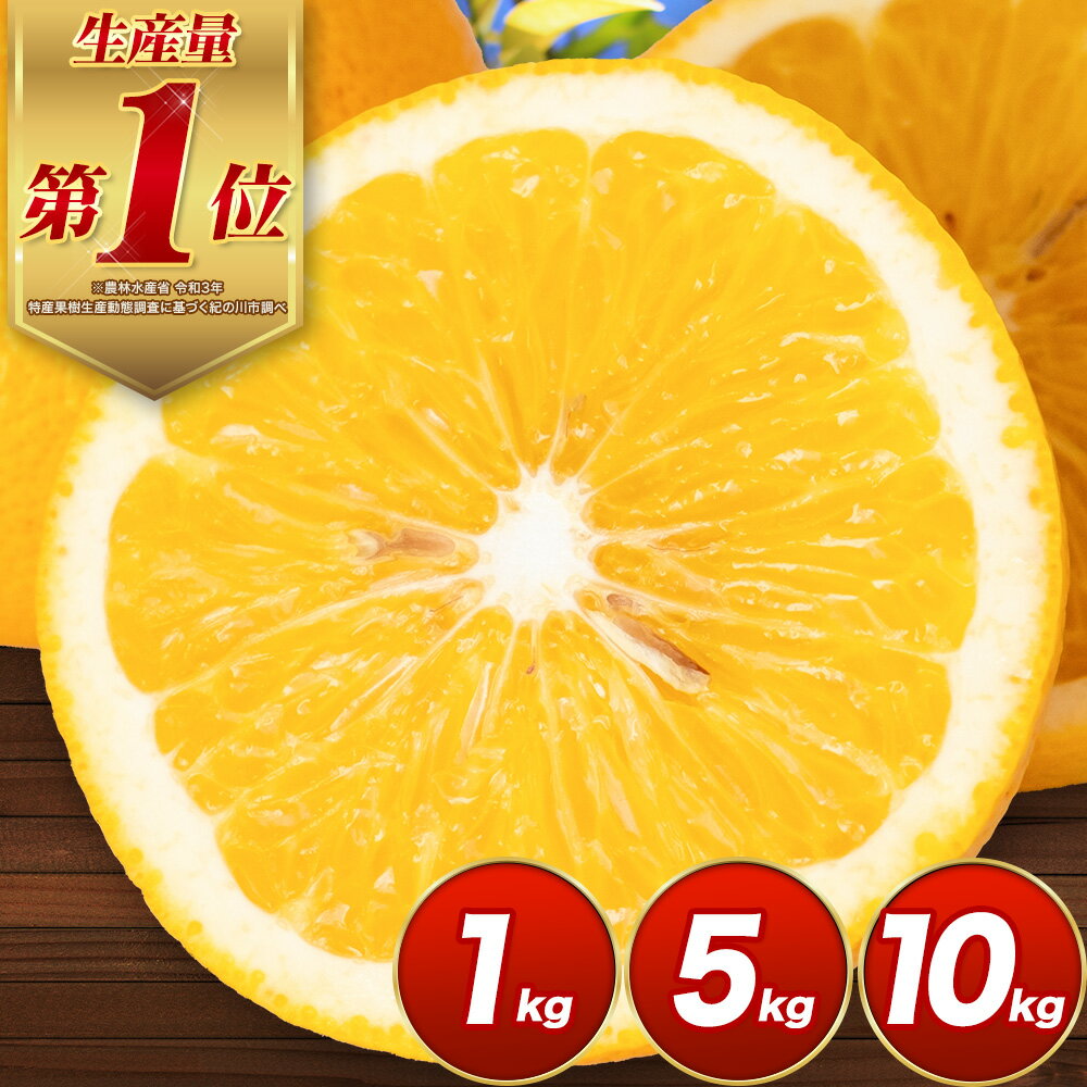 【ふるさと納税】見た目は訳あり中身は変わらぬ美味しさ ご家庭用 はっさく 約1kg 約5kg 約10kg (サイズ不選別) 早生・晩生指定不可《2027年2月上旬-3月中旬に出荷予定(土日祝除く)》紀の川市 八朔 柑橘 果物 フルーツ ご家庭用 ビタミンC 柑橘 訳あり 規格外 訳あり 傷
