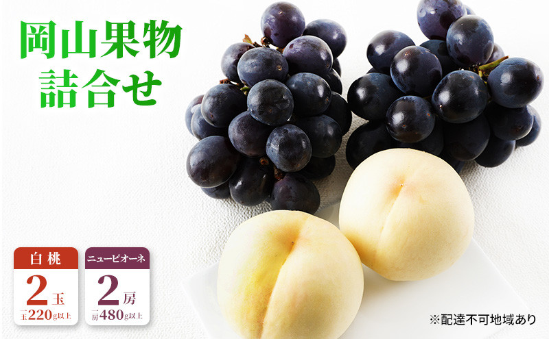 
            桃 ぶどう 2026年 先行予約 果物 詰合せ 白桃 2玉（1玉220g以上）ニューピオーネ 2房（1房480g以上）化粧箱入り もも 葡萄 岡山県産 国産 フルーツ 果物 ギフト 
          