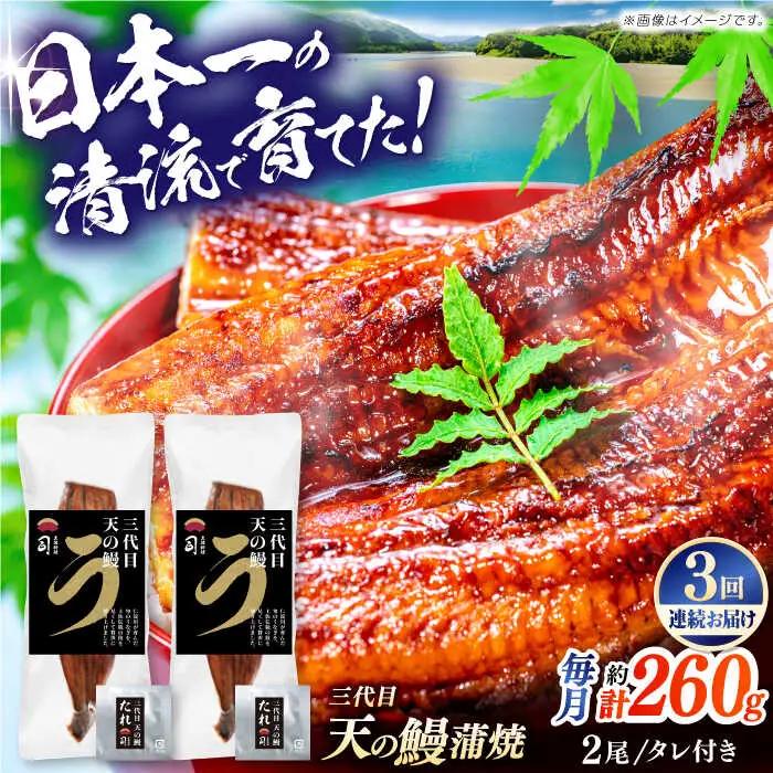 【3回定期便】三代目天の鰻蒲焼 2尾 / 鰻 鰻蒲焼 鰻蒲焼き 鰻 鰻蒲焼 鰻蒲焼き[ATAD059]